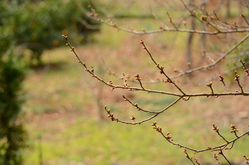 b0288942_20394514.jpg