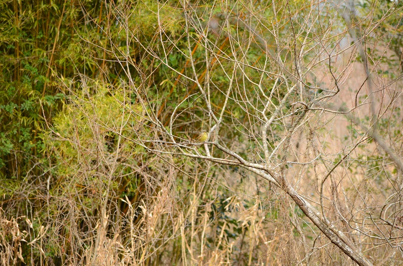 b0288942_2046210.jpg
