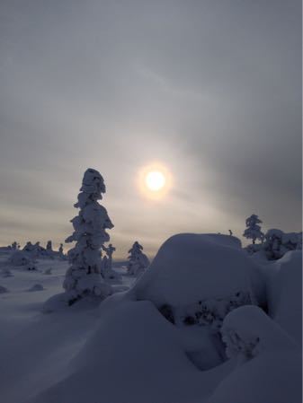 d0278966_2333492.jpg