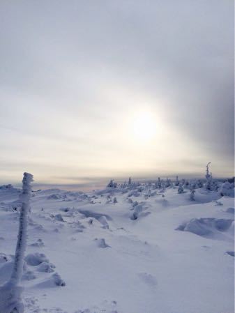 d0278966_2333649.jpg