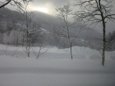 c0117570_1552712.jpg