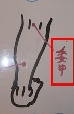 f0115484_16311184.jpeg