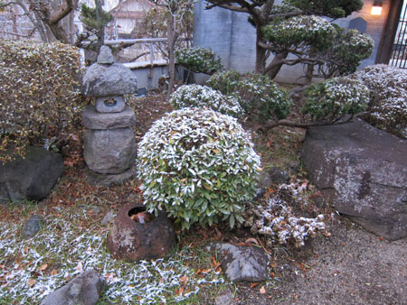 d0056197_2342525.jpg