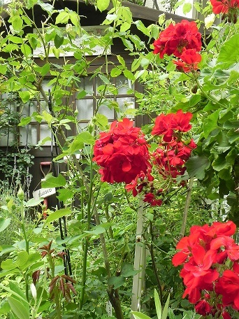 c0152002_12364522.jpg