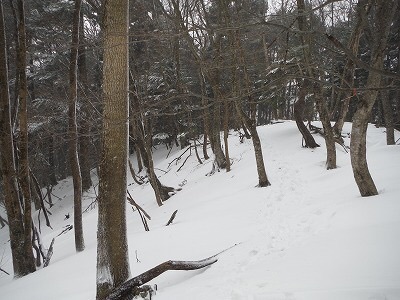 b0326303_20583430.jpg