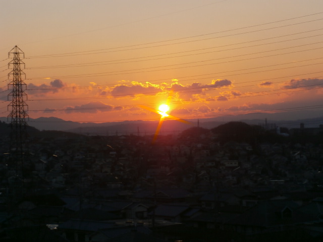 a0066027_543534.jpg