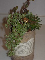 f0151628_20363731.jpg