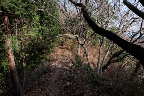 b0281732_171216.jpg