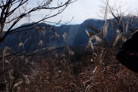 b0281732_1713779.jpg