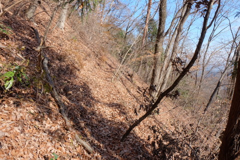 b0281732_1721974.jpg