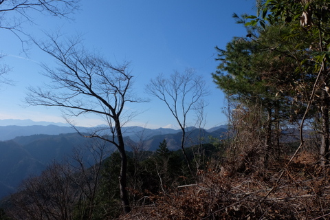 b0281732_1732874.jpg