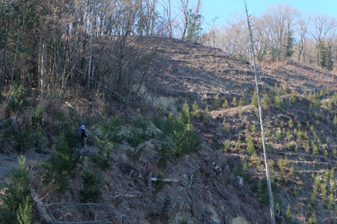 b0281732_1735052.jpg