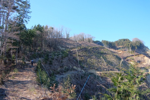b0281732_1735638.jpg