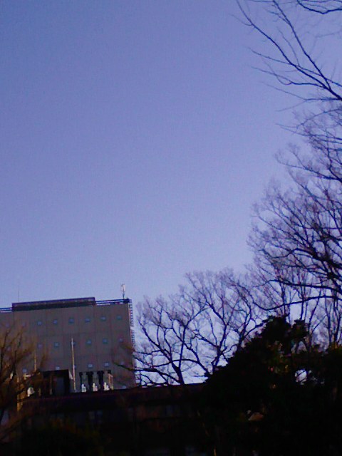 b0031140_21291390.jpg