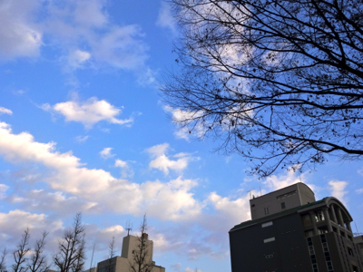 f0141840_23051701.jpg