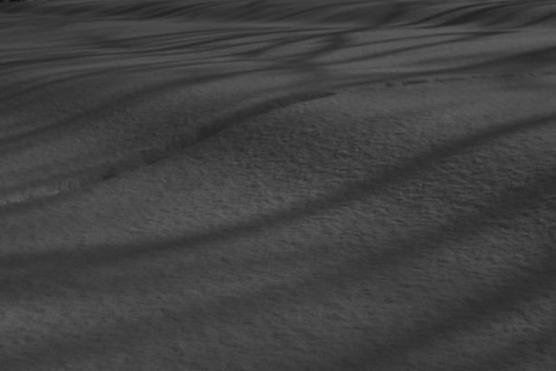 d0165741_15465212.jpg