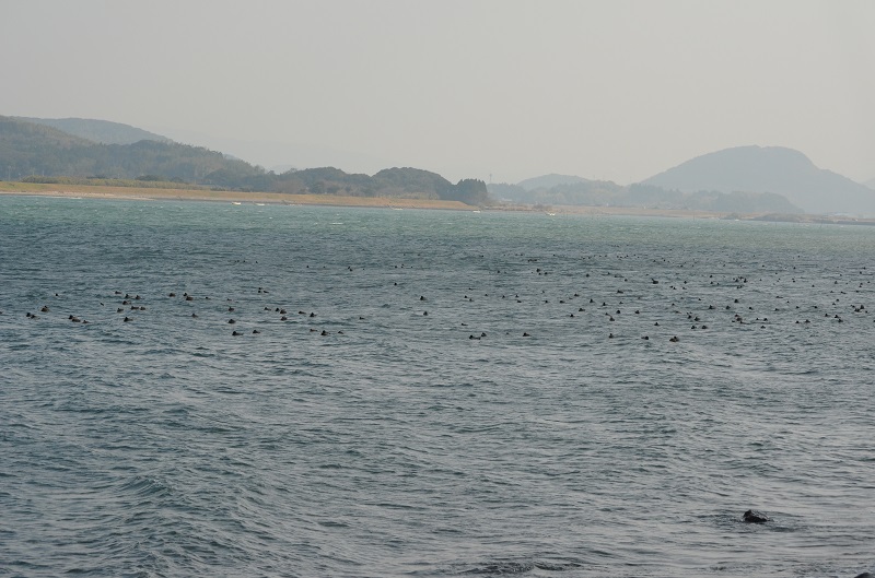 b0288942_23284048.jpg