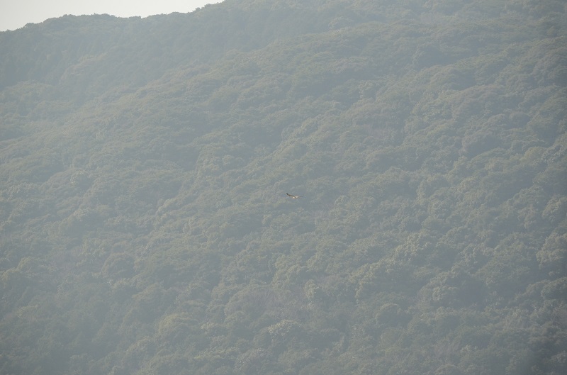 b0288942_2350379.jpg