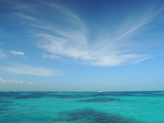 b0173754_11481279.jpg