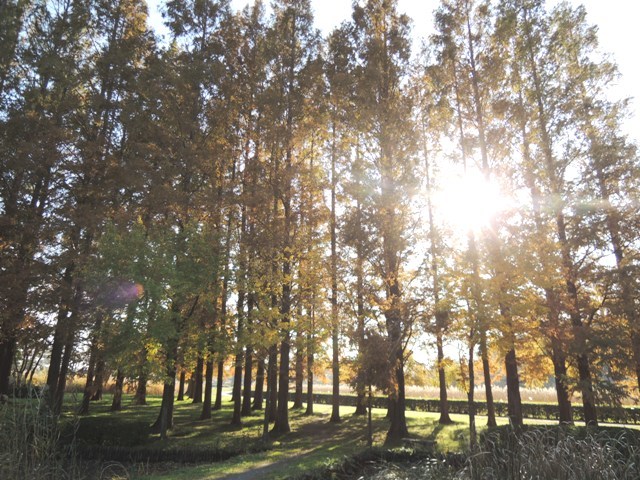 b0173754_15455889.jpg