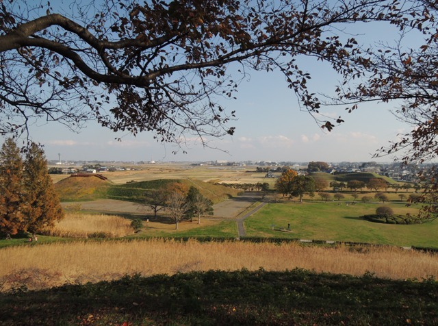 b0173754_15572120.jpg