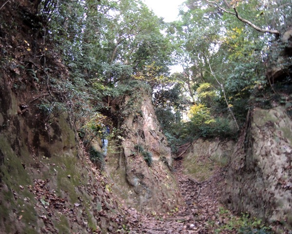 b0173754_16493051.jpg