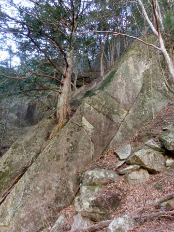 e0045768_2155627.jpg