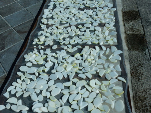 f0054677_08082826.jpg