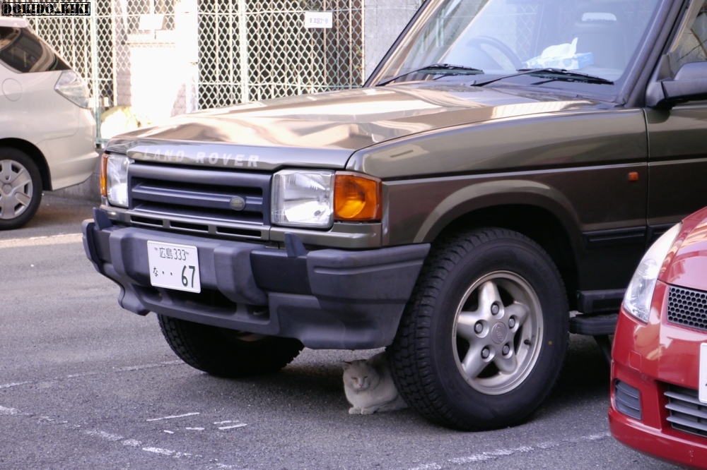 c0220084_2349231.jpg
