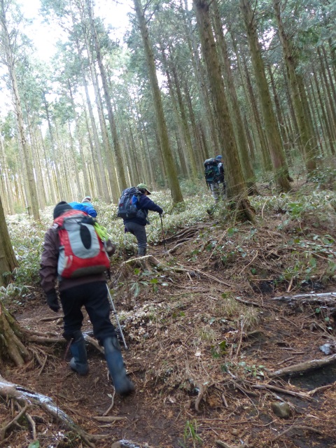 f0357487_20174118.jpg