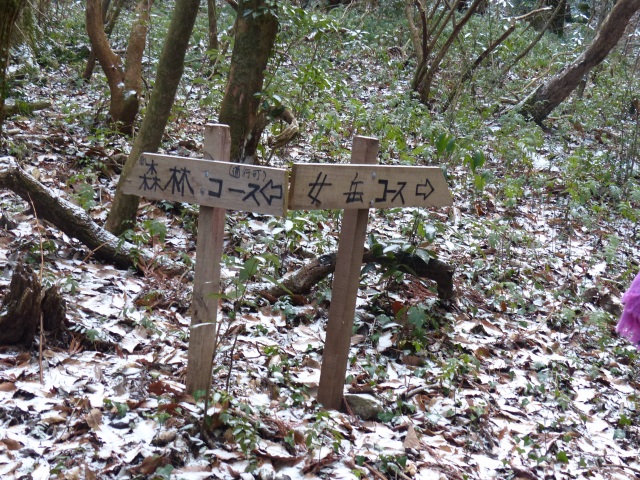 f0357487_20211751.jpg