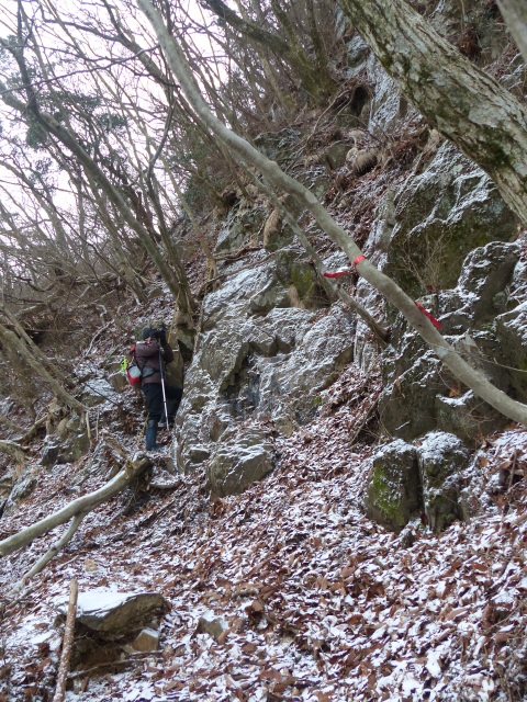 f0357487_20343026.jpg