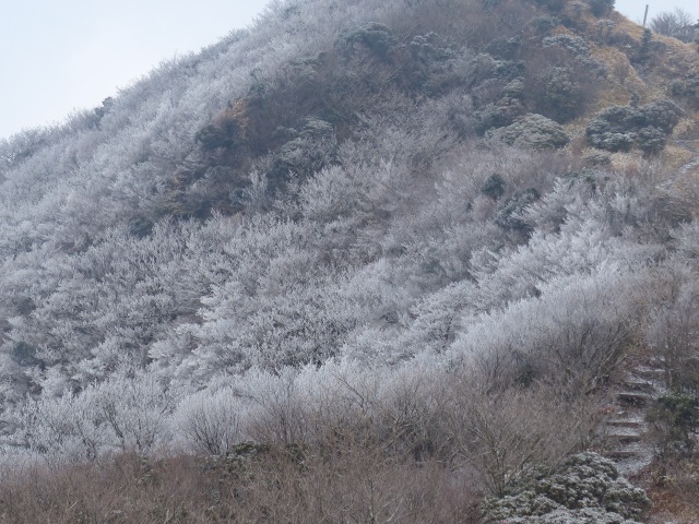 f0357487_20411967.jpg