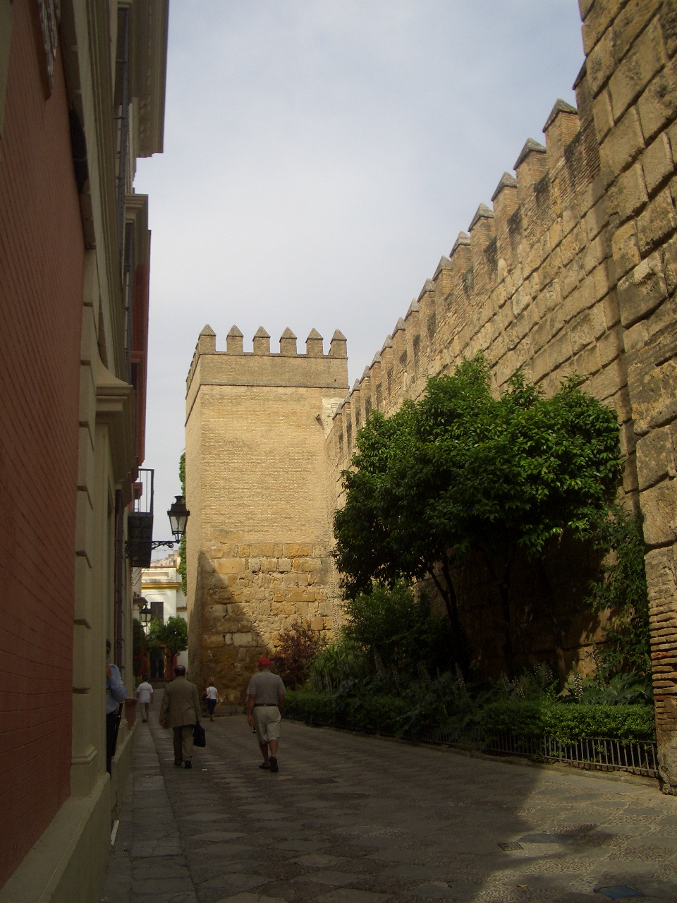 b0184396_11231785.jpg