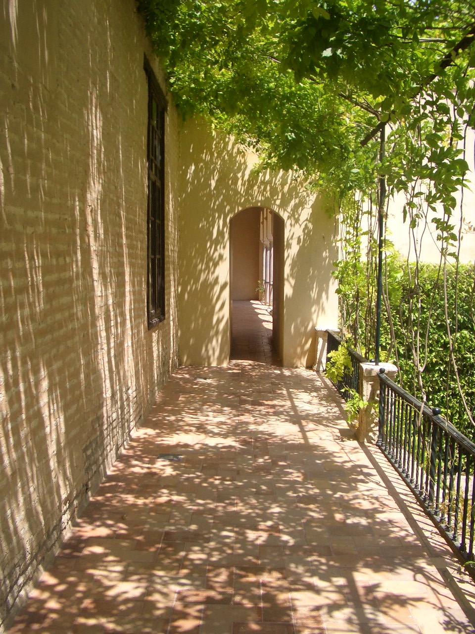 b0184396_11263310.jpg