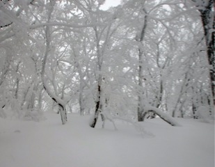 c0151898_202289.jpg