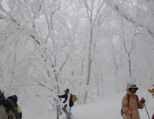 c0151898_2024569.jpg