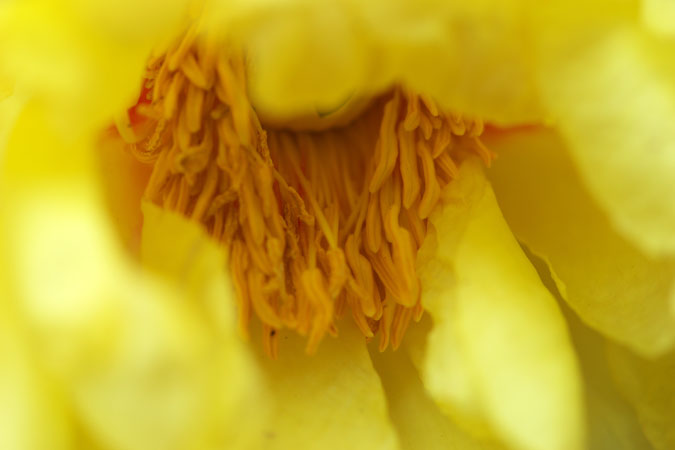 a0263109_14282954.jpg