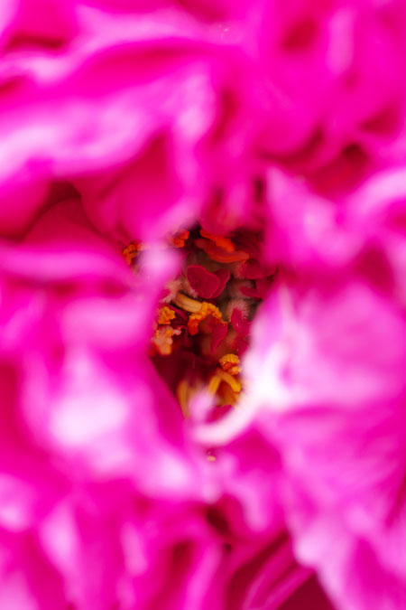 a0263109_1428375.jpg
