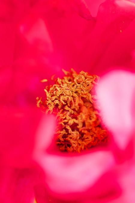 a0263109_14284061.jpg