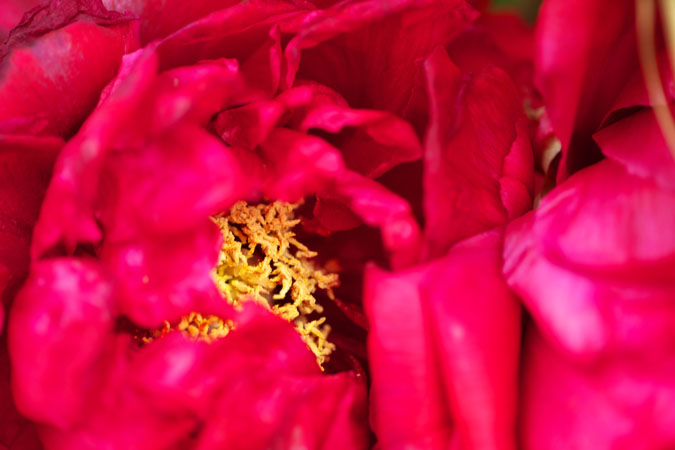 a0263109_14284392.jpg