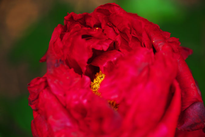 a0263109_14301120.jpg