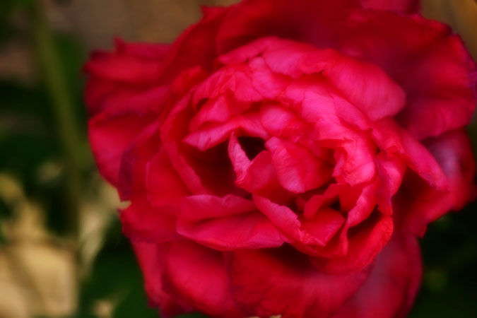 a0263109_1435266.jpg