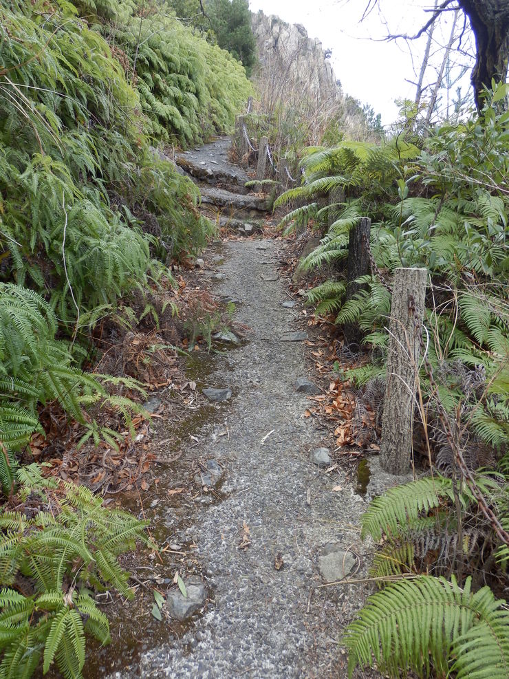 f0219710_7332852.jpg