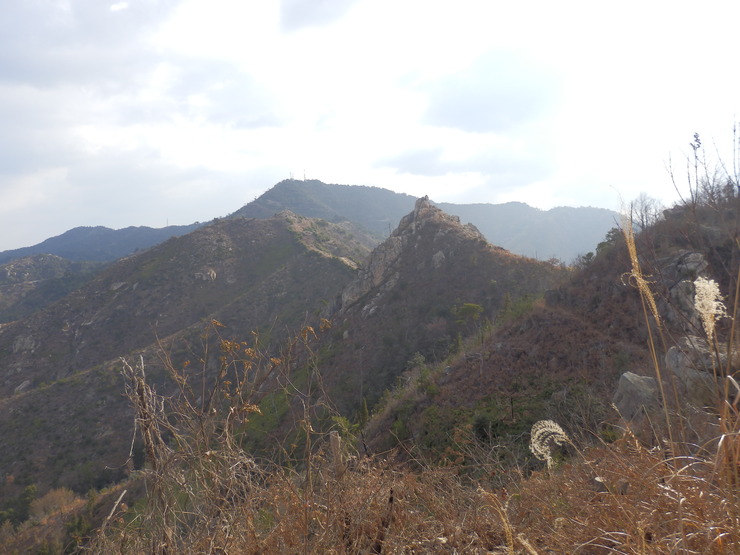 f0219710_7411157.jpg