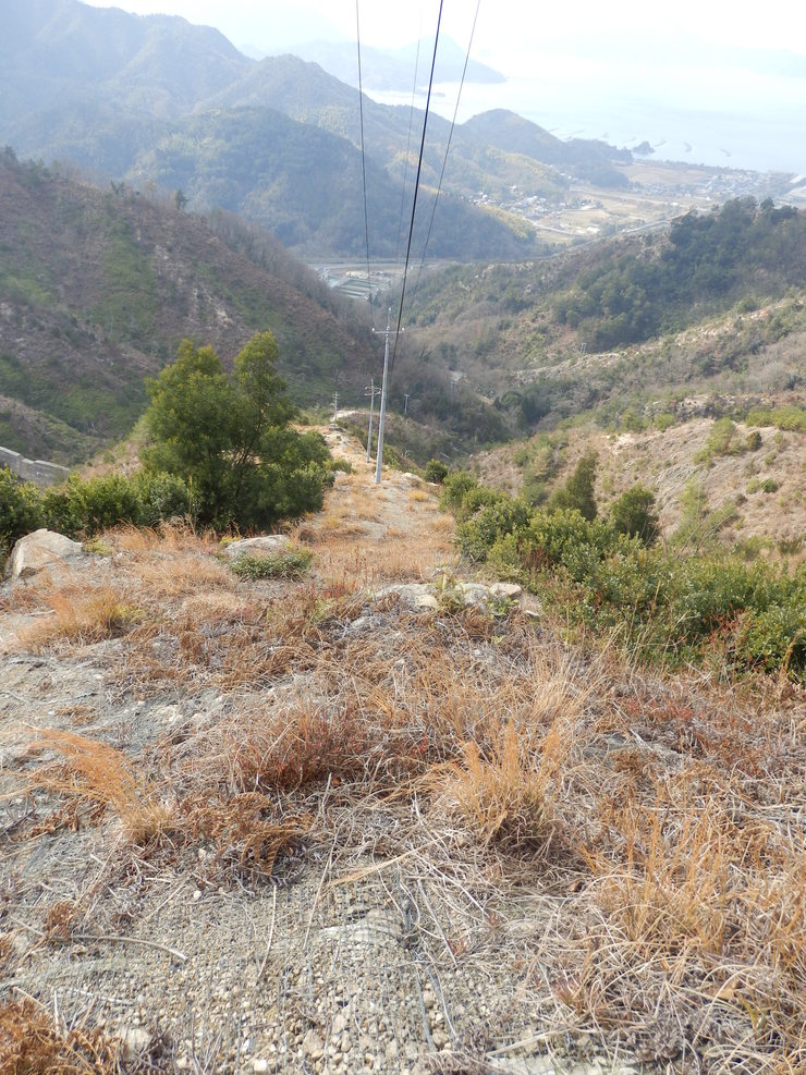 f0219710_8111324.jpg