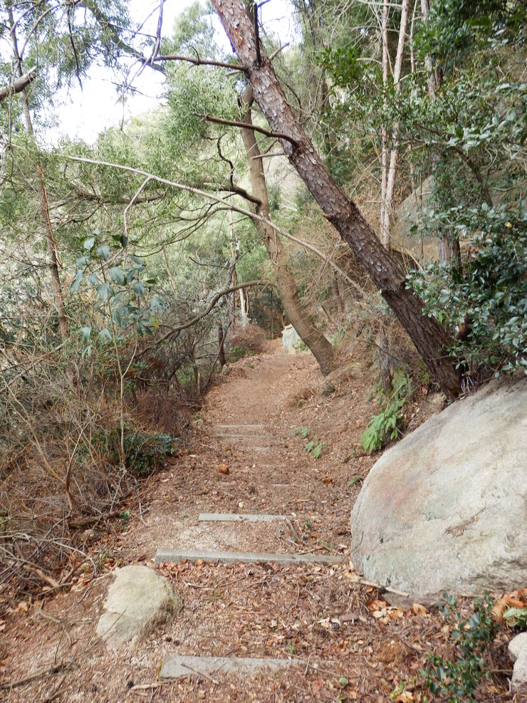 f0219710_8205861.jpg