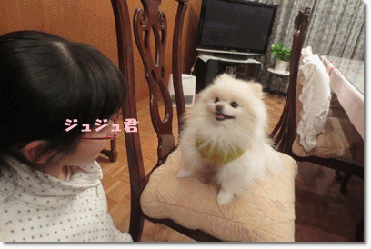 b0167519_13152941.gif