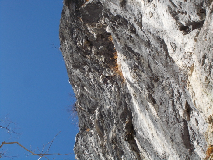 b0037220_00165690.jpg
