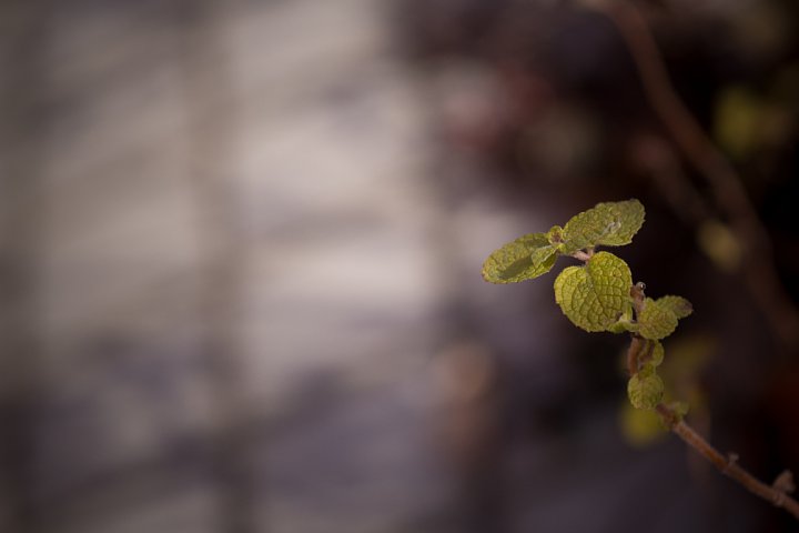 b0134829_17332959.jpg